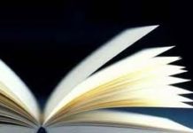 Piano di rilancio dell’economia Italiana libro