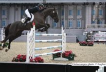 Grande spettacolo dei Carabinieri al Royal Windsor Horses Show IMG_2777