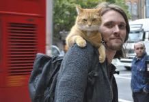 Bob il gatto che firma gli autografi bob