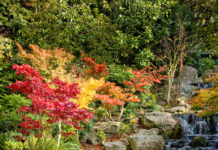 Holland Park: il gioiello di Kensington & Chelsea