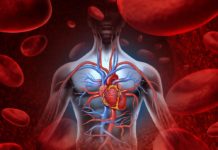 European Heart Journal: “I sopravvissuti al cancro hanno un rischio cardiaco più elevato”