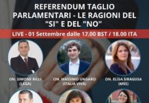 Referendum taglio parlamentari : la parola agli eletti all’estero. Le interviste (prima parte)