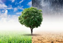 Vi ricordate la Cop26? bene e’ stata una vittoria o una sconfitta? Londonone radio sky
