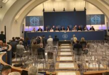 Riforma cittadinanza: il Quirinale chiede attenzione, il CGIE pronto a proporre modifiche
